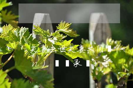夫妻去世夫妻共同財(cái)產(chǎn)誰繼承？